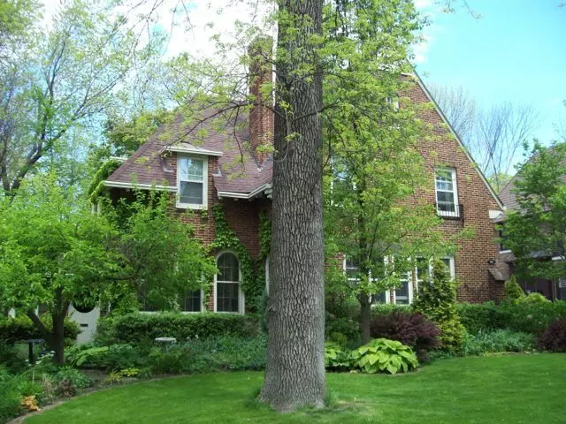 Whitefish Bay