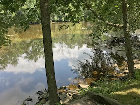 Grafton