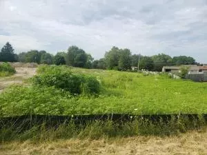 Muskego