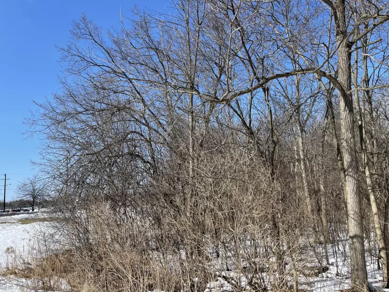 Menomonee Falls