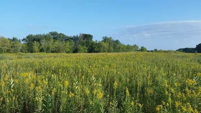 Mequon