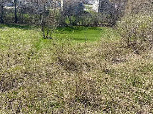 Grafton