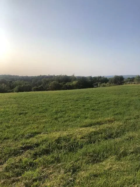 Greenfield