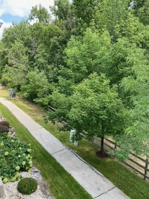 Greenfield