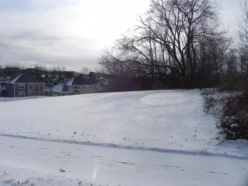 Grafton
