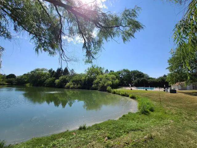 Mequon