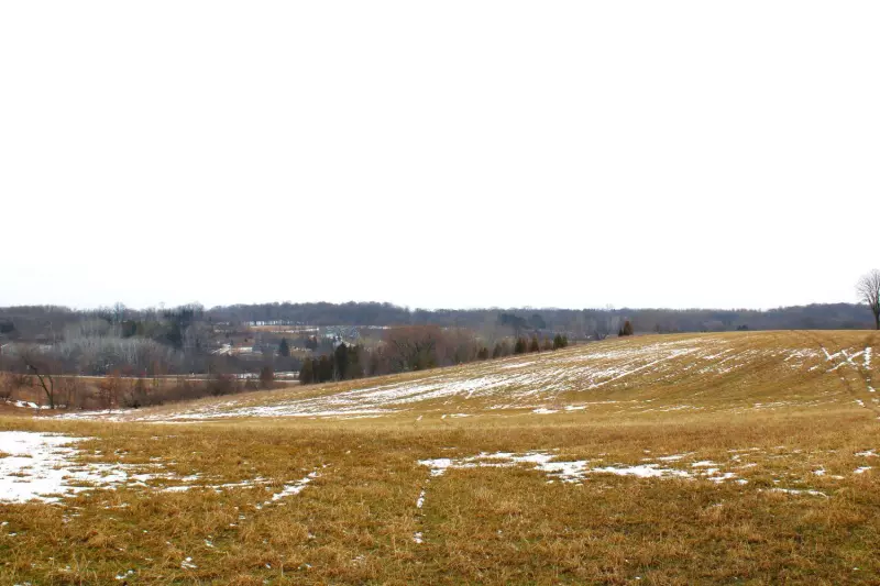 Fredonia