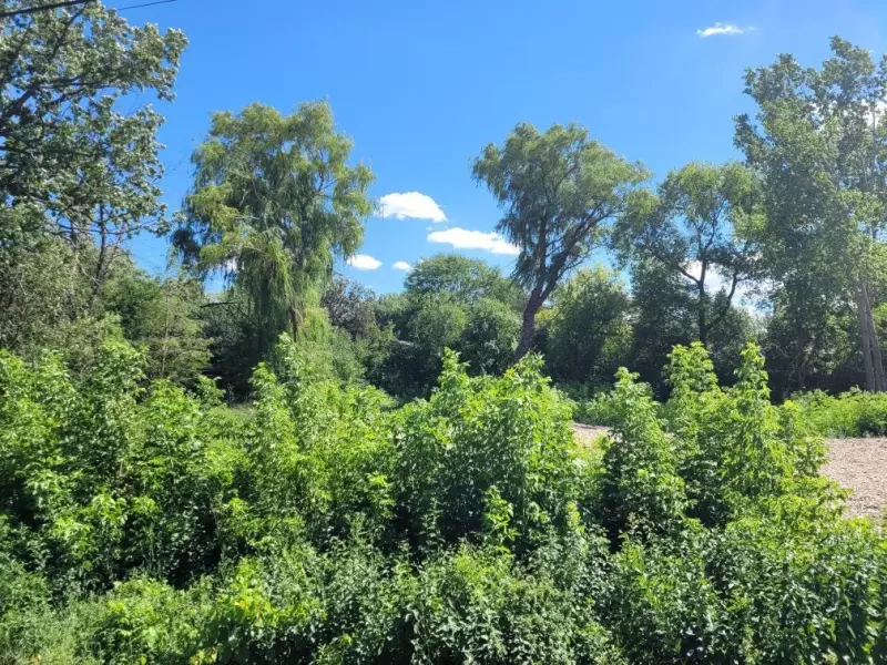 Menomonee Falls