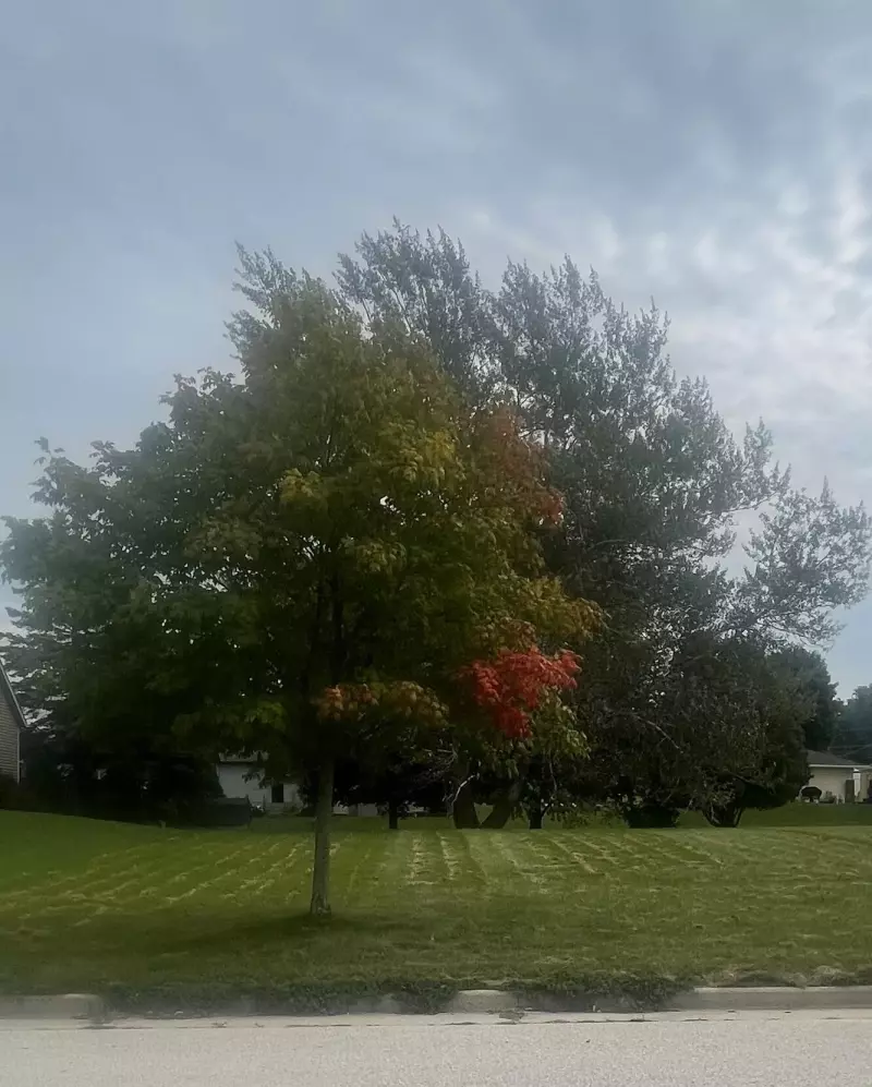 Fredonia