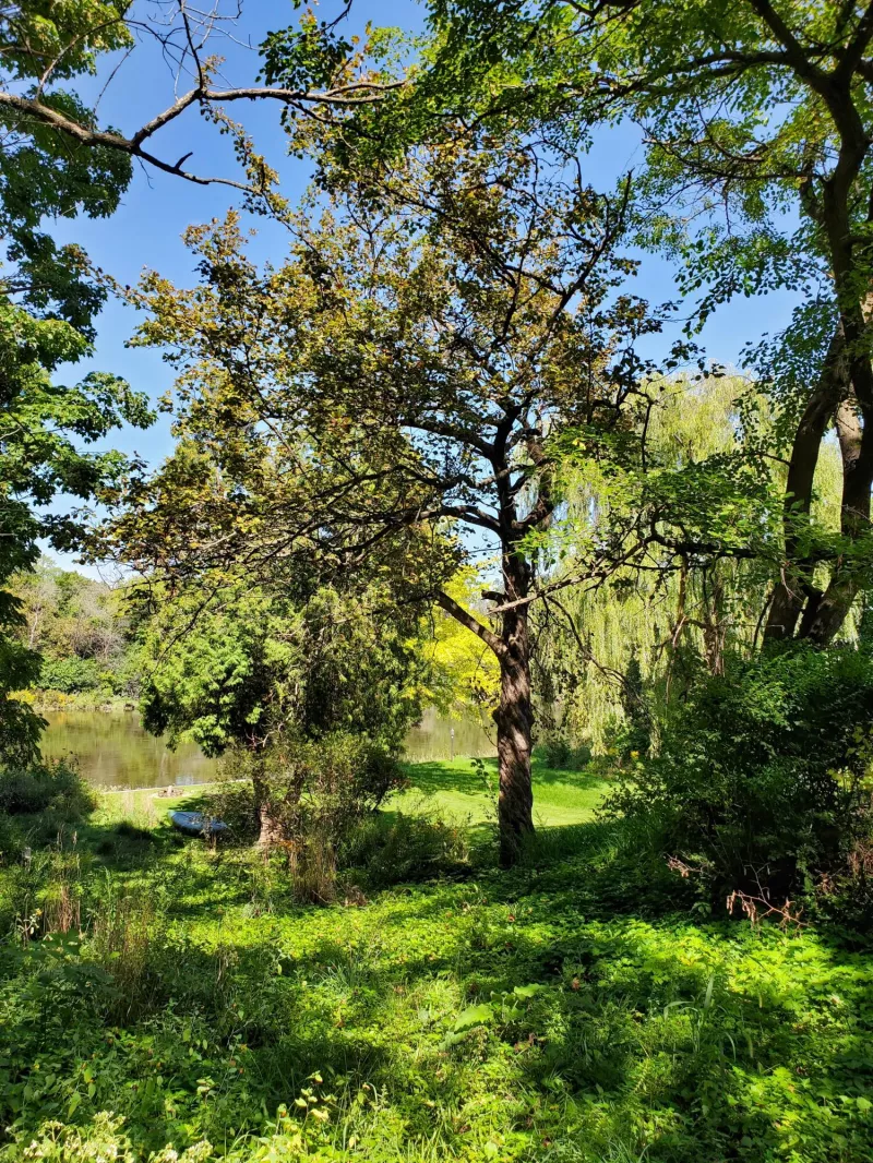 Glendale