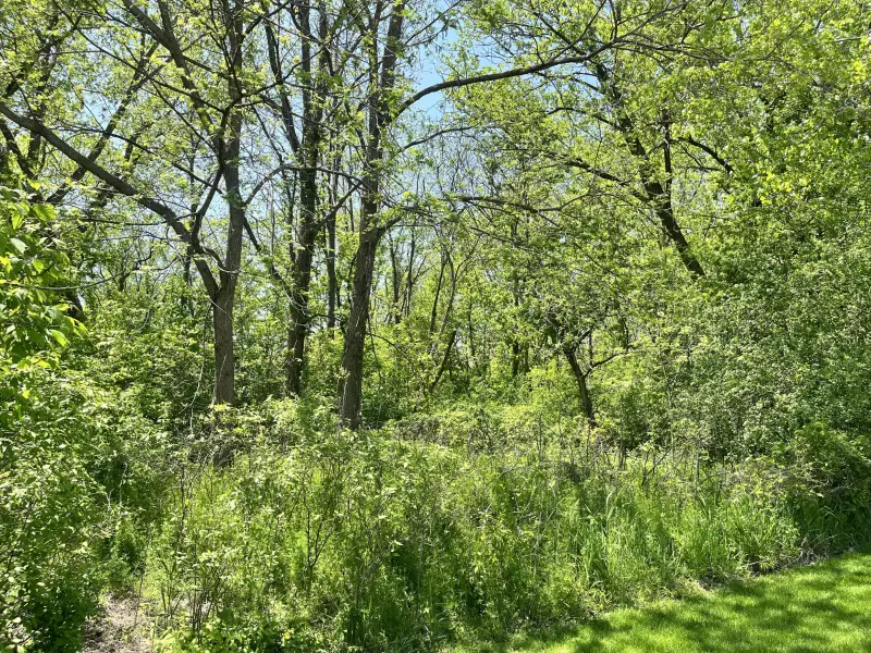 Greenfield