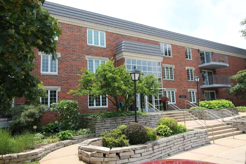 Elm Grove