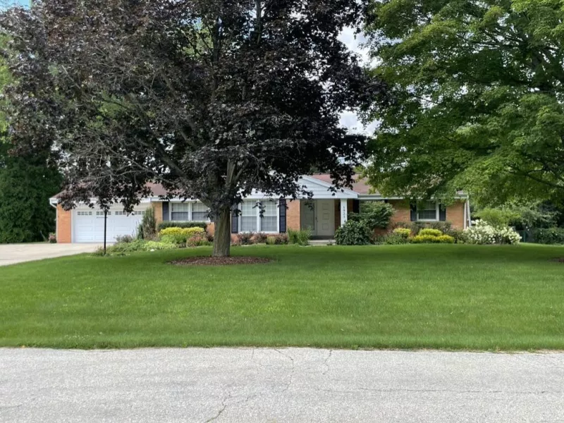 Elm Grove