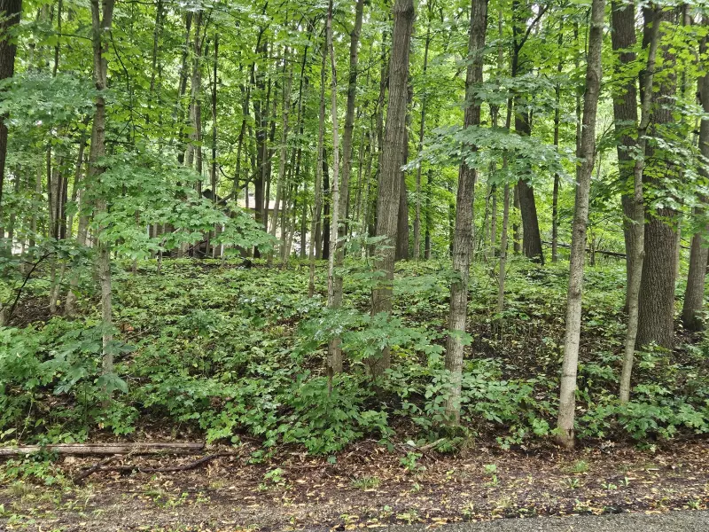 Muskego