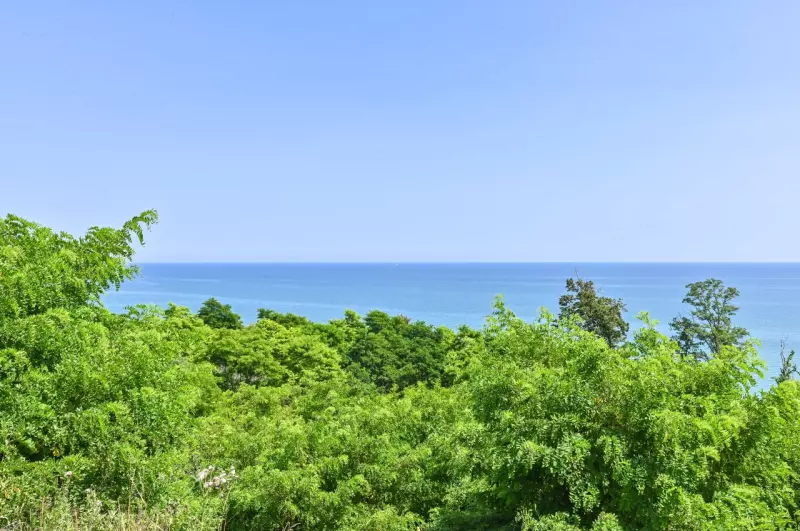 Mequon