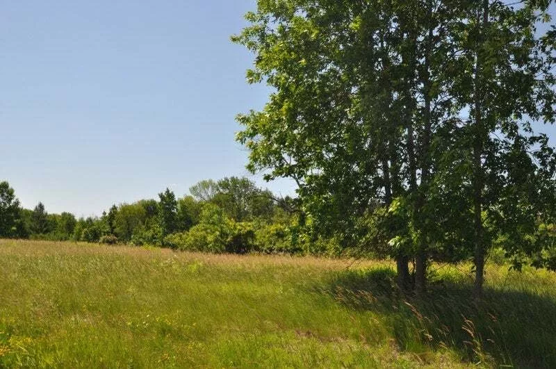 Cedarburg
