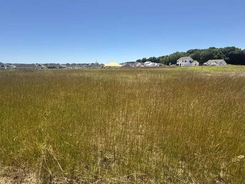 Grafton