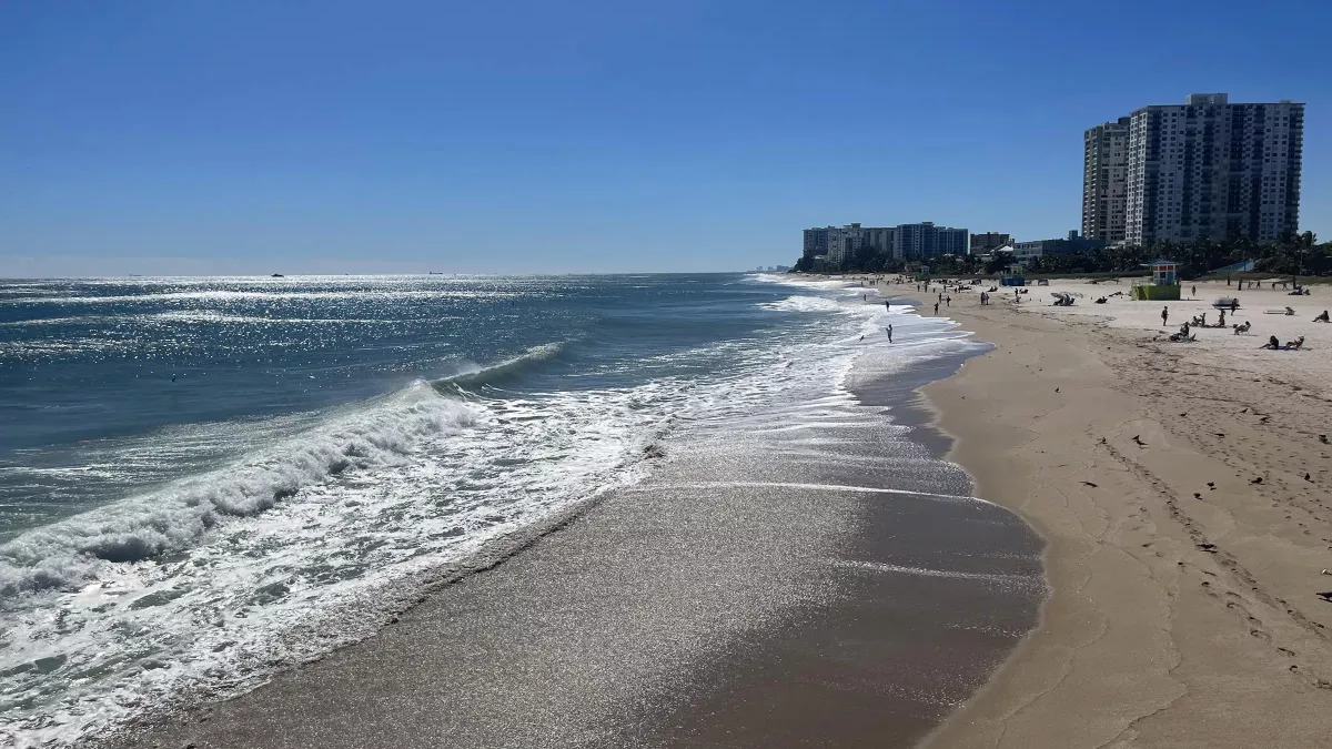 Coquina Sands